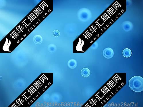 上海干細胞一針多少錢多久打一針